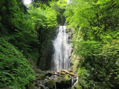 Randonnée estivale dans les gorges de Dakigaeri près de Kakunodate, Senboku, Akita, Japon