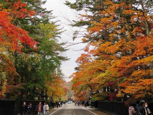 Paysage aux couleurs d'automne à Kakunodate, Senboku, Akita, Japon
