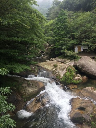 Rivière à l'entrée du parcours de Shiratani-Unsuikyo sur l'île de Yakushima, Japon