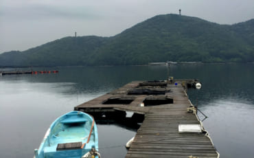 Baie du Shimizu Marine Inn