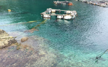 Eaux turquoises Fukashima