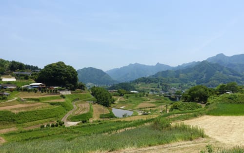 Paysage rural à Takachiho (Miyazaki, Kyushu), là où les bœufs de Takachiho sont élevés