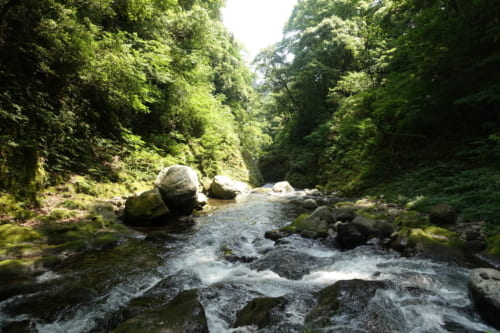 La rivière Iwato, entourée d'une forêt luxuriante, Takachiho, Miyazaki, Kyushu