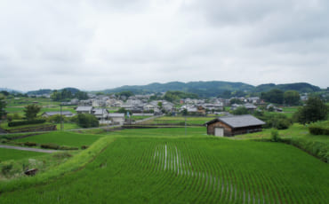 Vue du village d'Asuka, Nara : rizières et maisons traditionnelles.