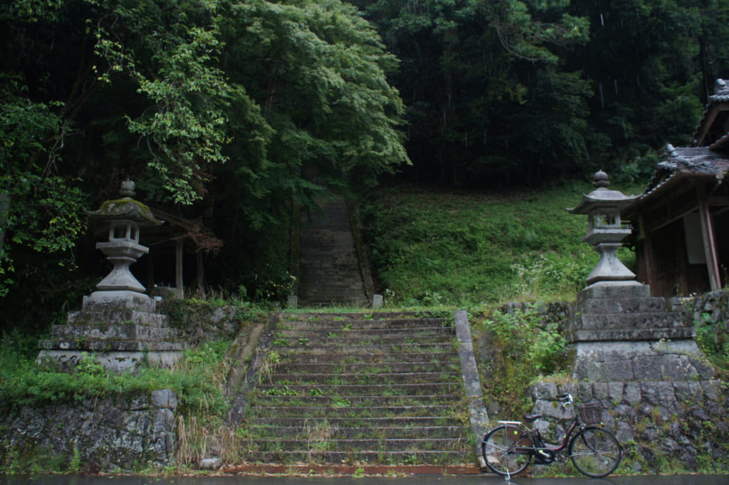 Les marches du sanctuaire que l'on voit dans le film de Naomi Kawase, qui s'enfoncent dans la forêt à Asuka