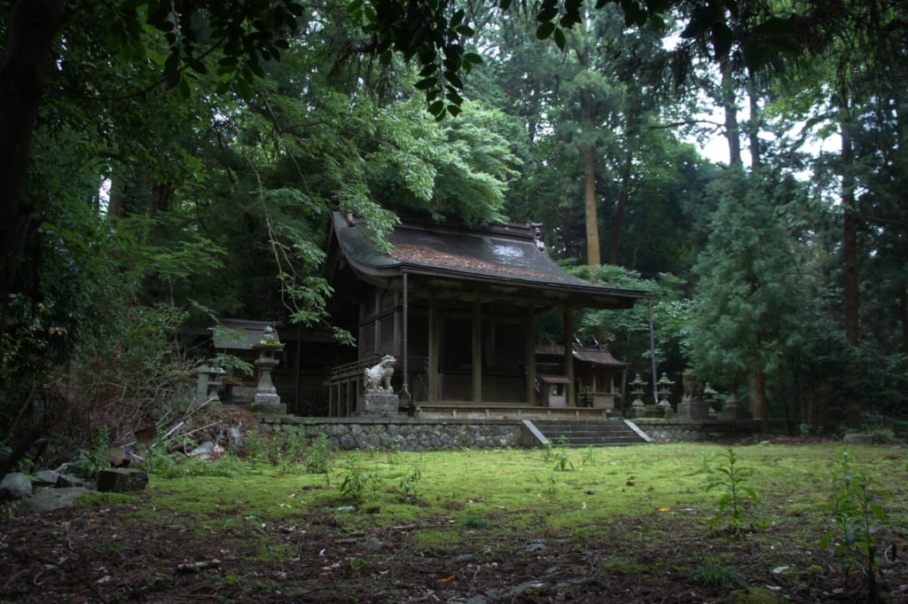 Le petit sanctuaire que l'on voit dans le film Hanezu, entouré d'arbres et de mousses. Asuka, Nara