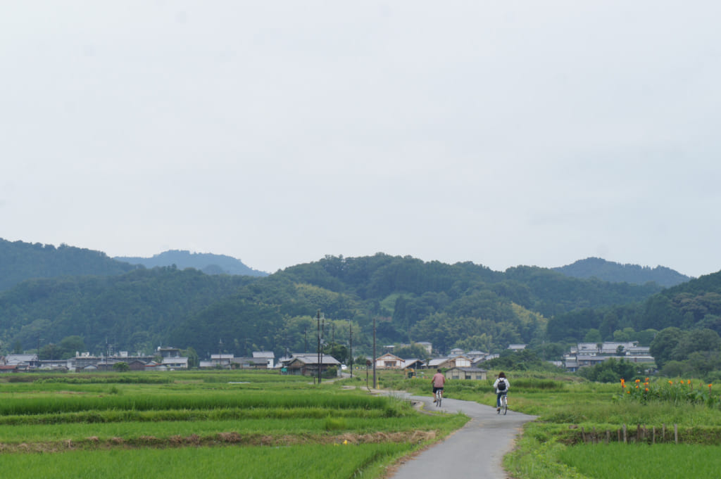 Deux personnes à vélo au milieu des rizières dans le village d'Asuka, préfecture de Nara