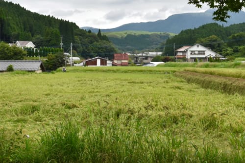 La vue sur la campagne et la montagne depuis le Minshuku Yamanosato, à Ubuyama