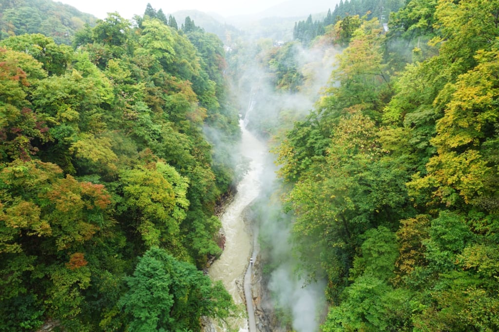 Les gorges d' Oyasukyo et ses nuages de vapeur qui se perdent dans la nature luxuriante