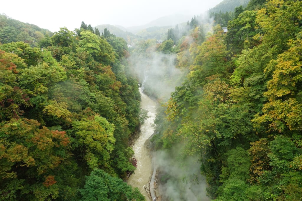 Les gorges d' oyasukyo creusées par le fleuve