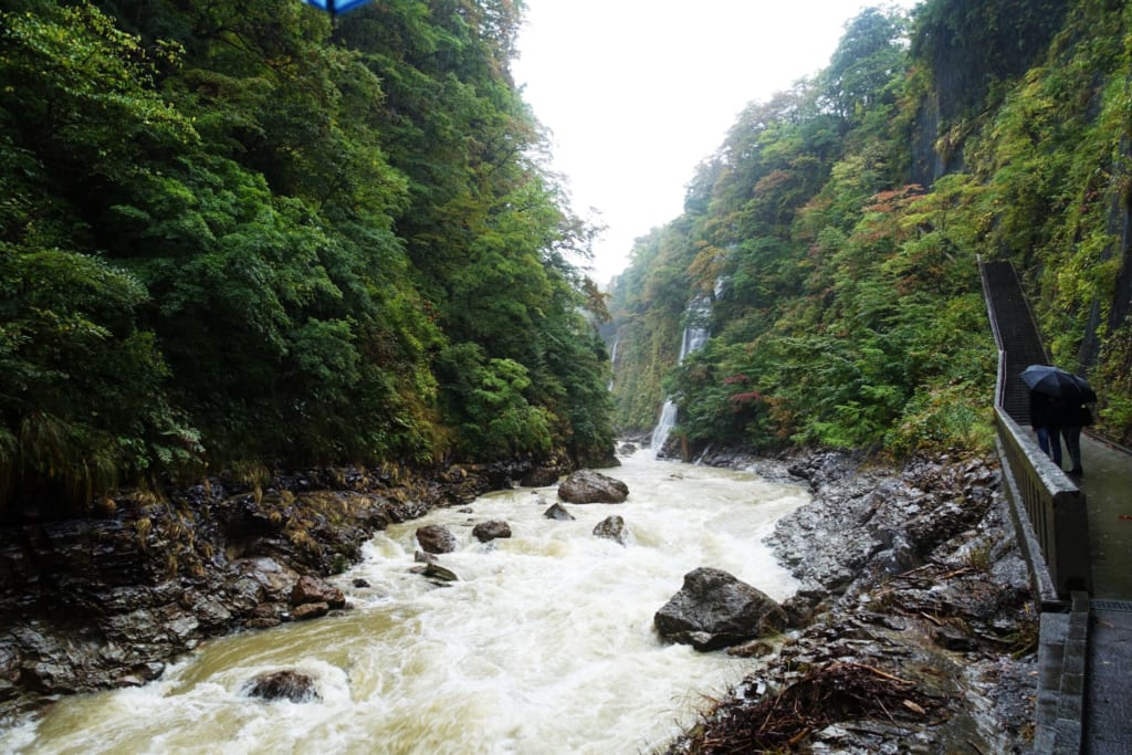 L'impressionnant cours d'eau qui creuse les gorges d' Oyasukyo