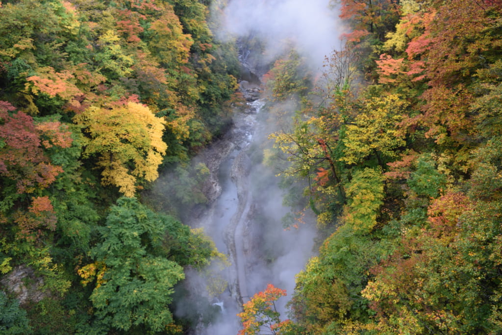 Couleurs d'automne et nuages de vapeur sur les gorges d' Oyasukyo