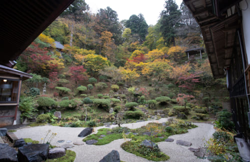 Le jardin du temple Fusai-ji à Murakami