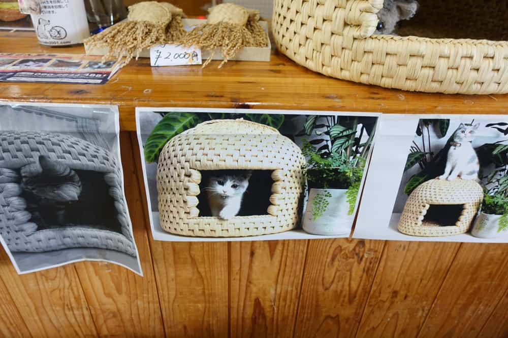 Photos de maisons à chats de Sekikawa utilisées par des chats
