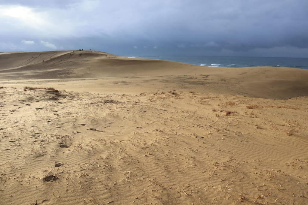 Dunes de Tottori Sakyu