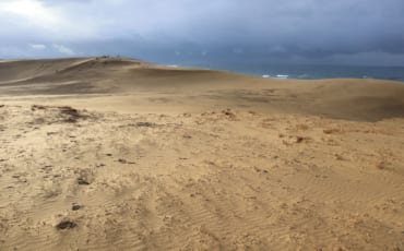 Dunes de Tottori Sakyu