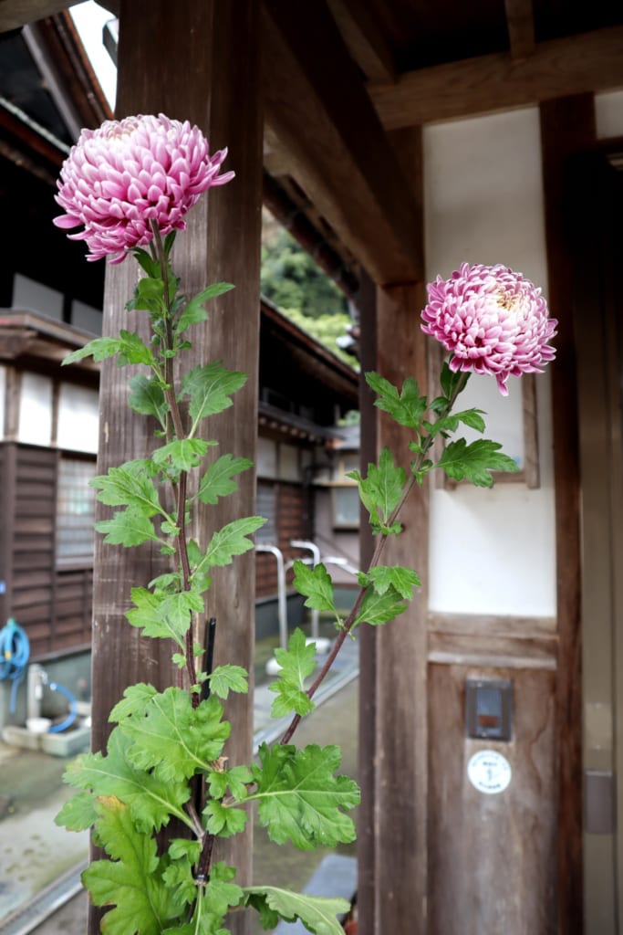 fleurs au temple daijo