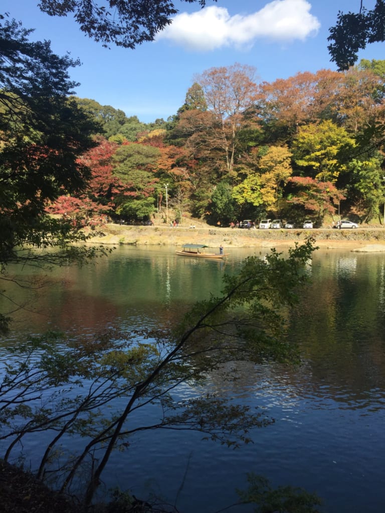 Les magnifiques couleurs de l'automne le long de la rivière Hozu