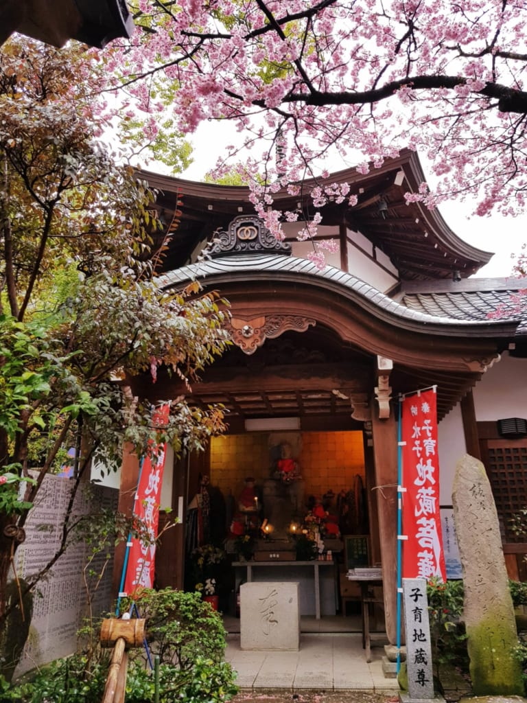 Un des bâtiments du temple ishiteji sous les cerisiers en fleur