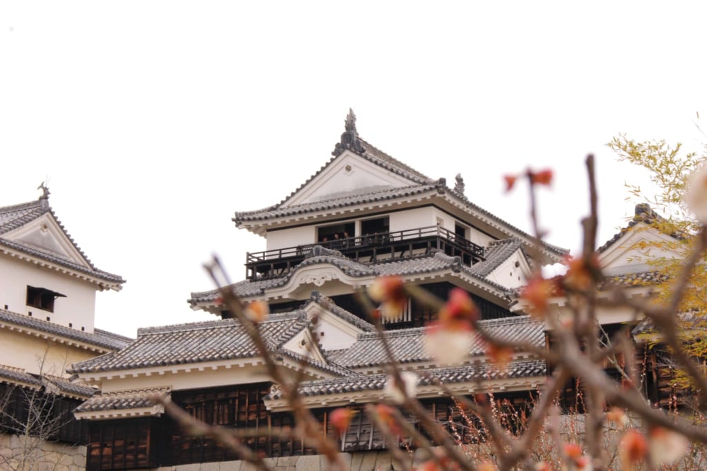le château de Matsuyama