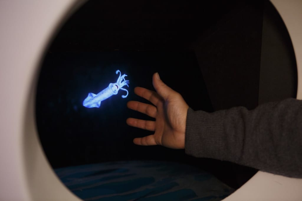 Installation interactive dans le musée des calmar luciole de Toyama