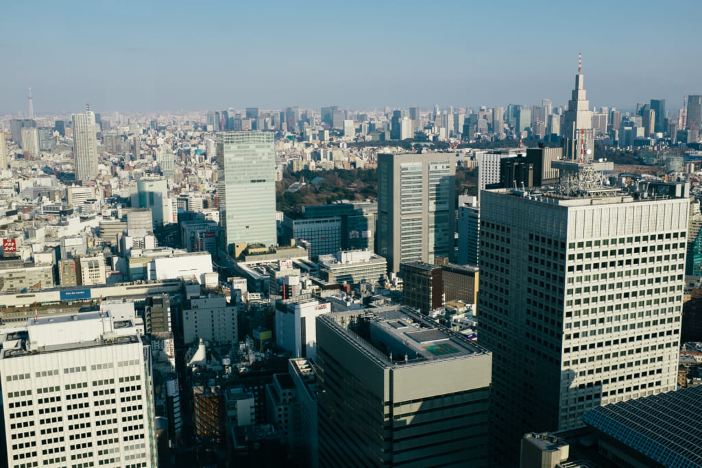 vue depuis le sège métropolitain du gouvernement de Tokyo