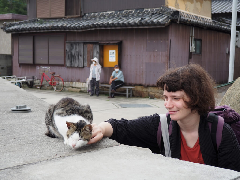 Un chat quémande des caresses à Manabeshima