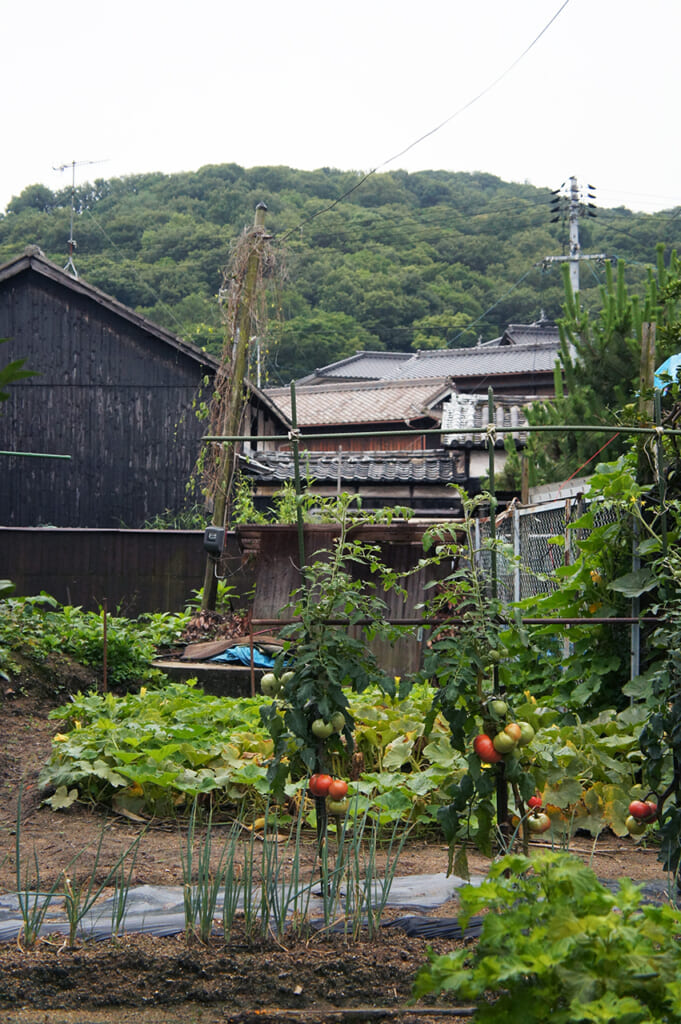 Jardin potager dans un village japonais à Manabeshima