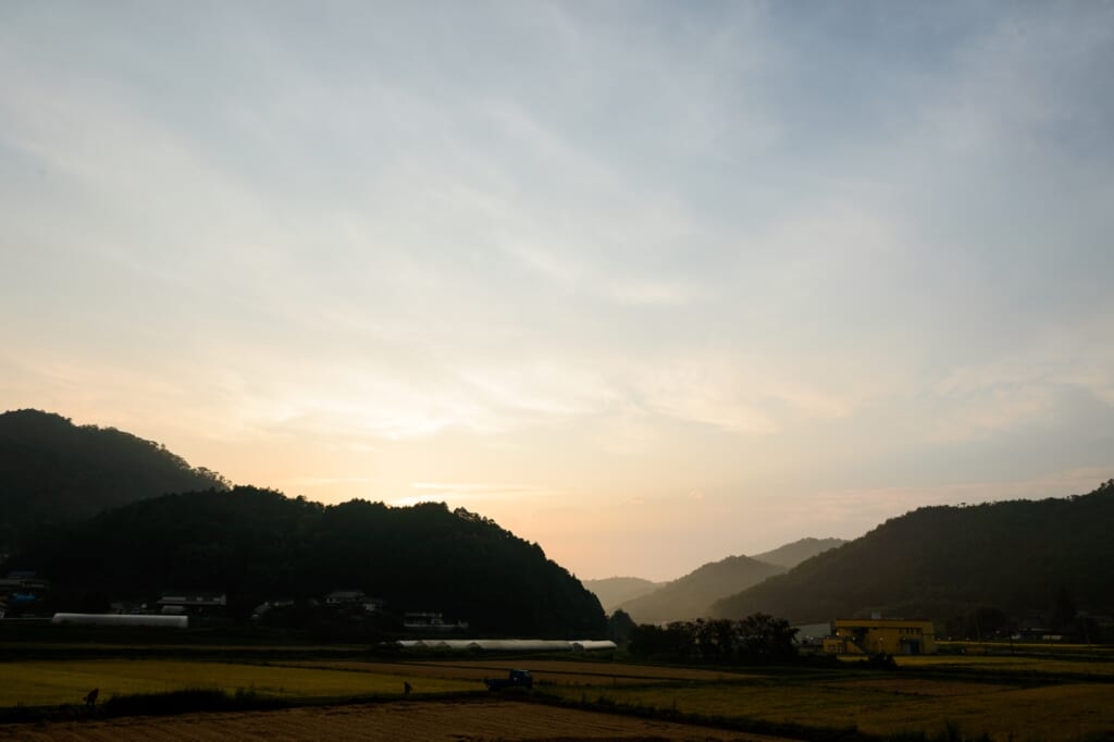 coucher de soleil sur des champs au Japon