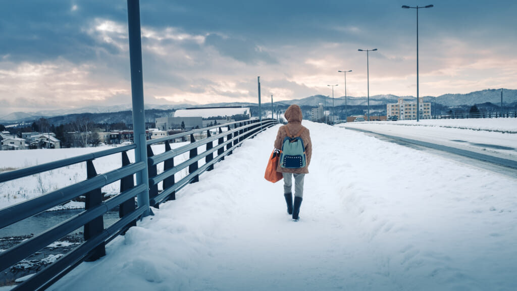 Paysage hivernal à Asahikawa sur l'île d'Hokkaido