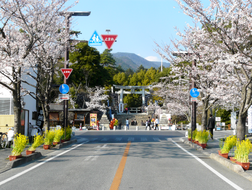 Le sanctuaire Takeda bordé de sakuras