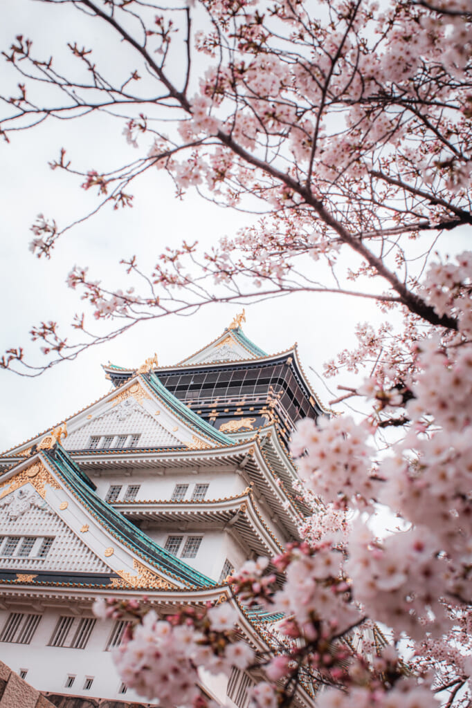 Ciel de sakura au château d'Osaka