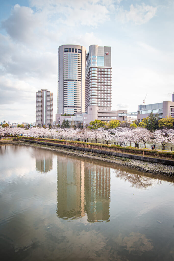 Croisière au milieu des sakura à Osaka