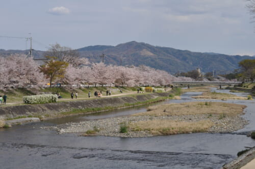 La rivière Kamo s'étend sur plusieurs kilomètres au loin sous l’œil attentif du daimonji-yama