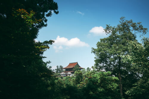 Le temple Kinpusen-ji de Yoshino, vu de loin encadré par des arbres