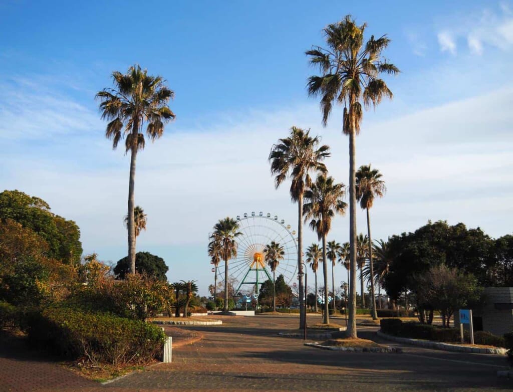 Parc Ako Seaside et ses palmiers