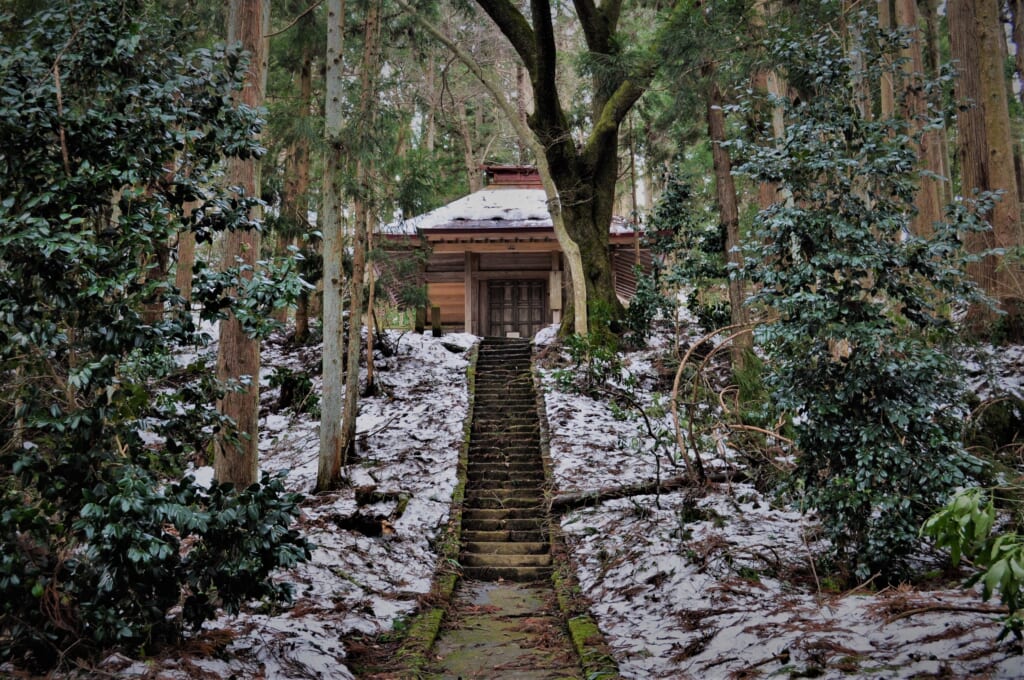 Escapade dans la forêt avant de rejoindre le Chûson-ji