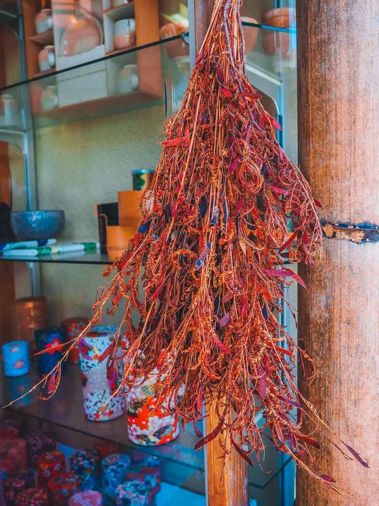 le kawaraketsumei, la plante avec laquelle on fait le zaracha