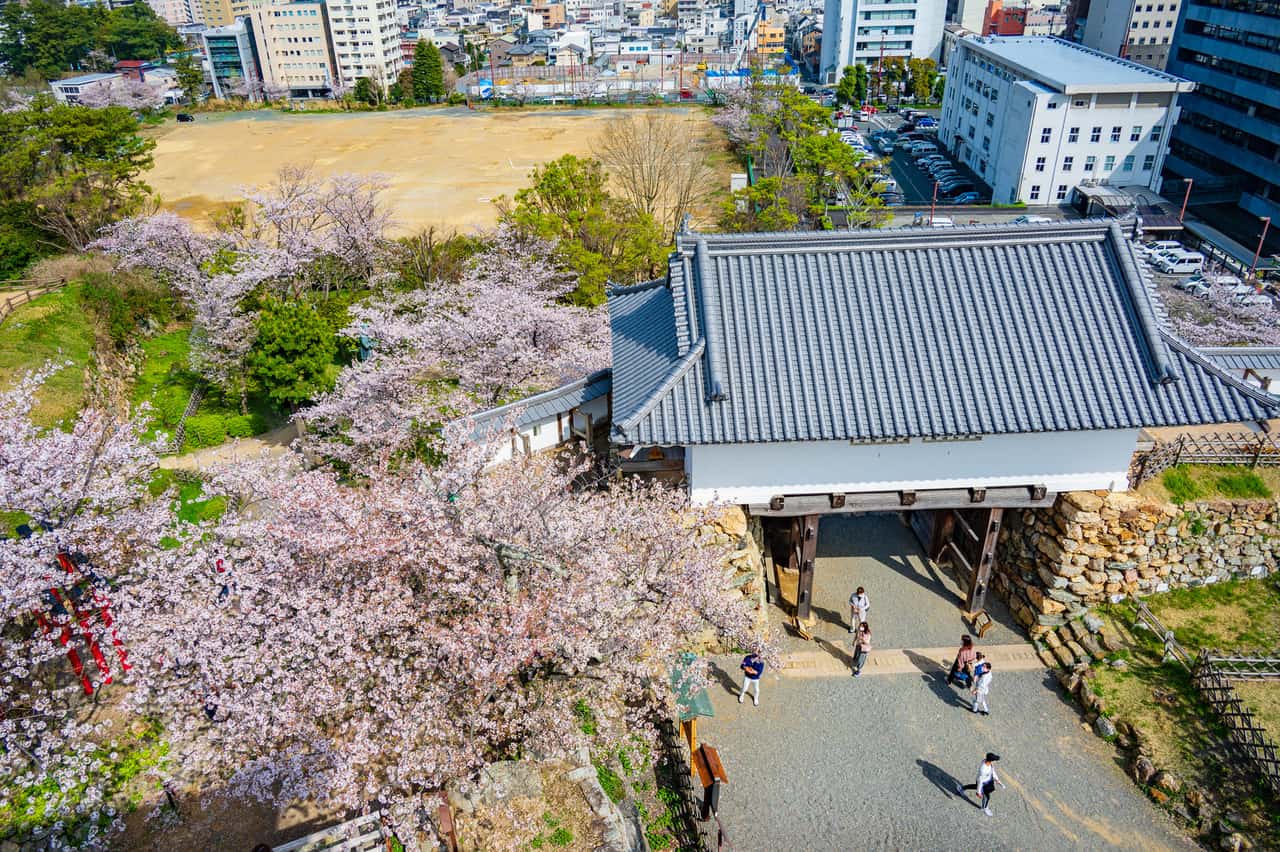 Le château de Hamamatsu vaut particulièrement le détour à l'arrivée du printemps