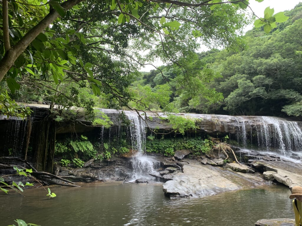 Longue cascade en pleine jungle dans l'île japonaise d'Iriomote, dans l'archipel d'Okinawa
