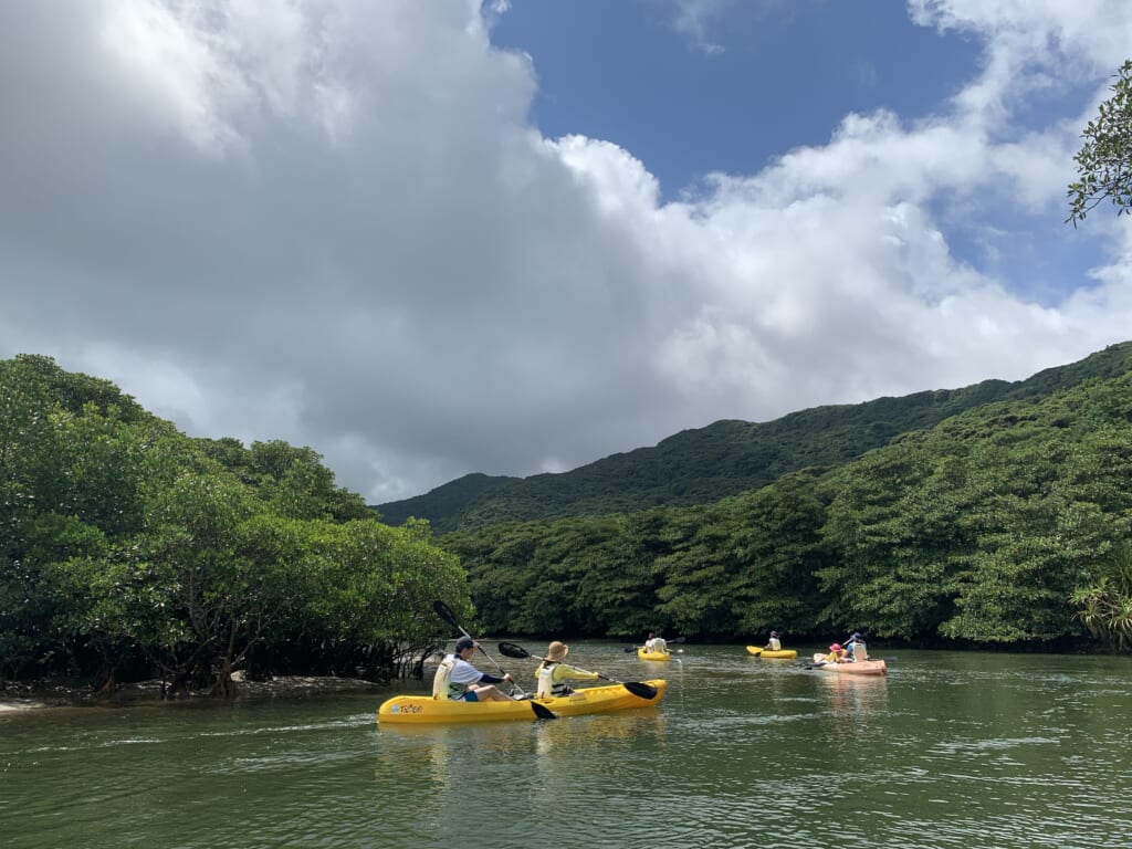 excursion en canoë sur la rivière Nishida à Iriomote
