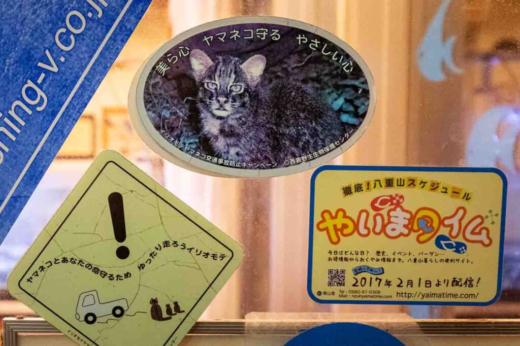 pancartes prévenant de la présence du chat d'Iriomote
