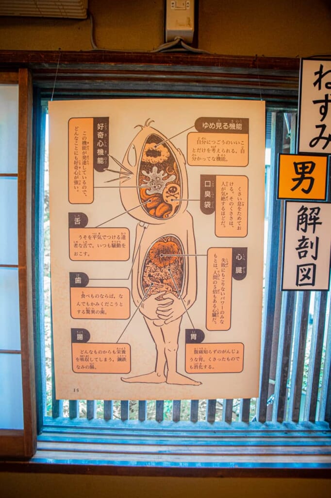 illustration de l'anatomie d'un yokai