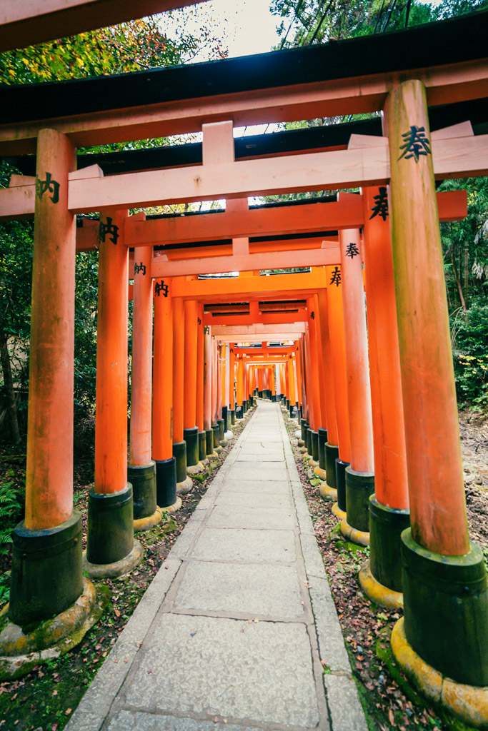 série de portes torii à Kyoto dans le sanctuaire Fushimi Inari