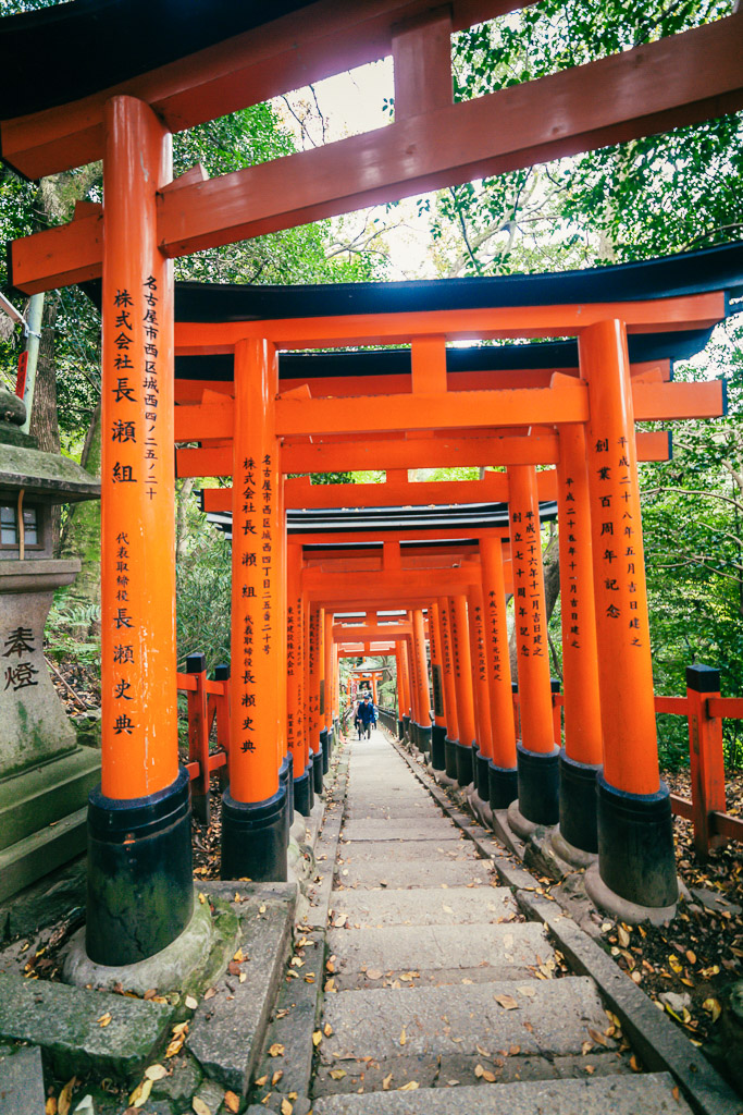 rangée de torii du sanctuaire