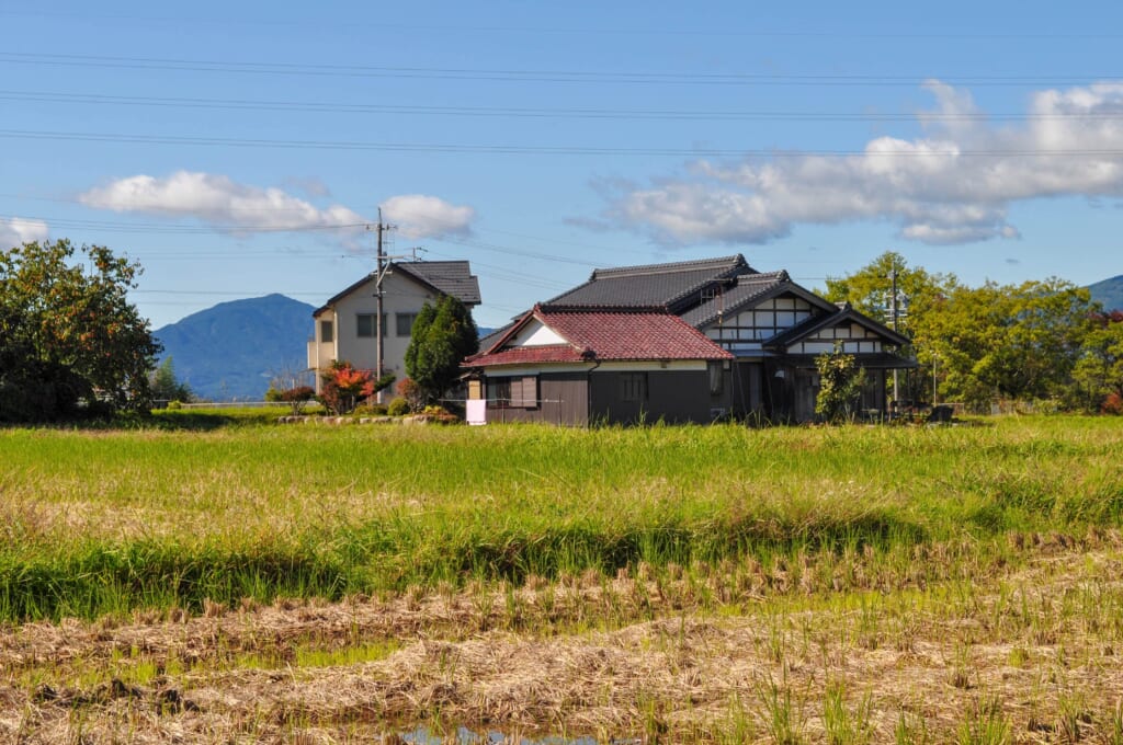 rizière et maison de campagne dans à Nakatsugawa