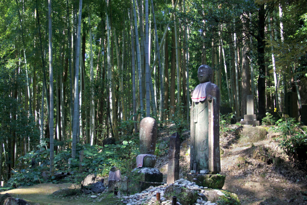 une statue au milieu d'une forêt de bambous est éclairée par la lumière du soleil