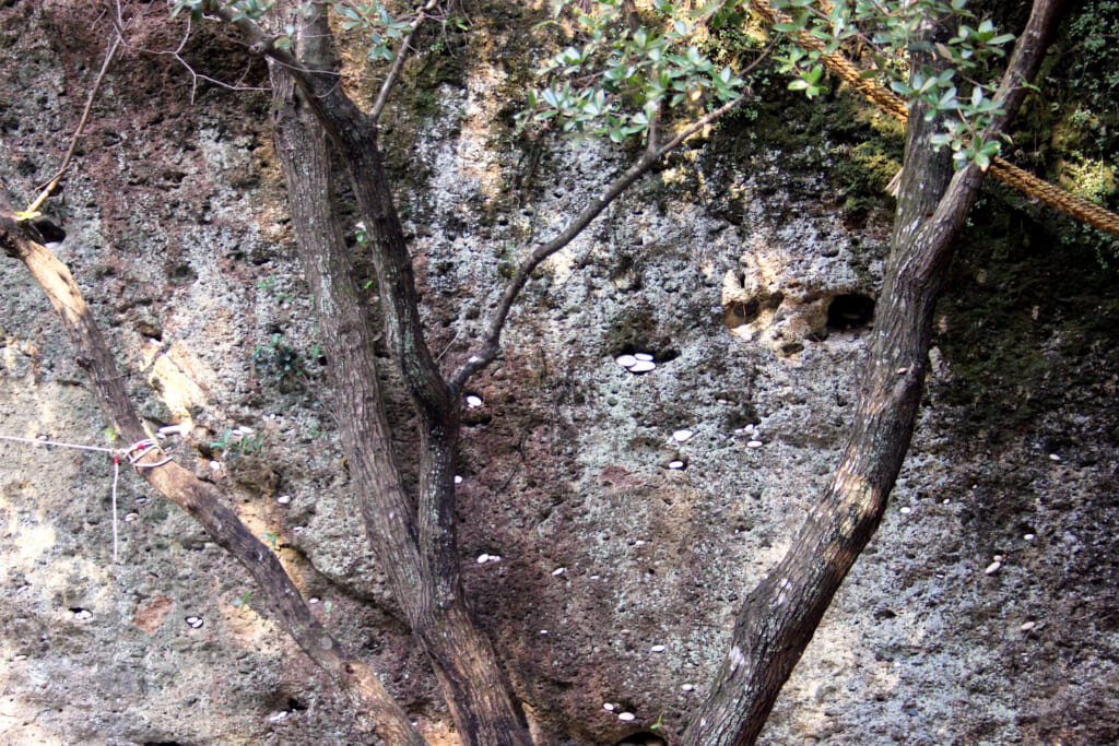 des petis cailoux blancs sont incrustés dans de la roches
