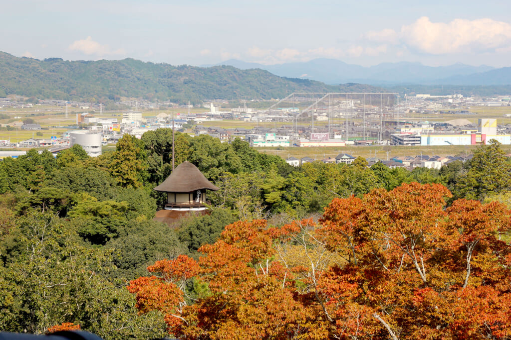 Vue en contre plongée sur des arbres du parc d'Iga-Ueno. Un bâtiment au toit rond apparaît dans les feuillages. En arrière plan on voit un paysage urbain et des chaines de montagnes à l'horizon. 