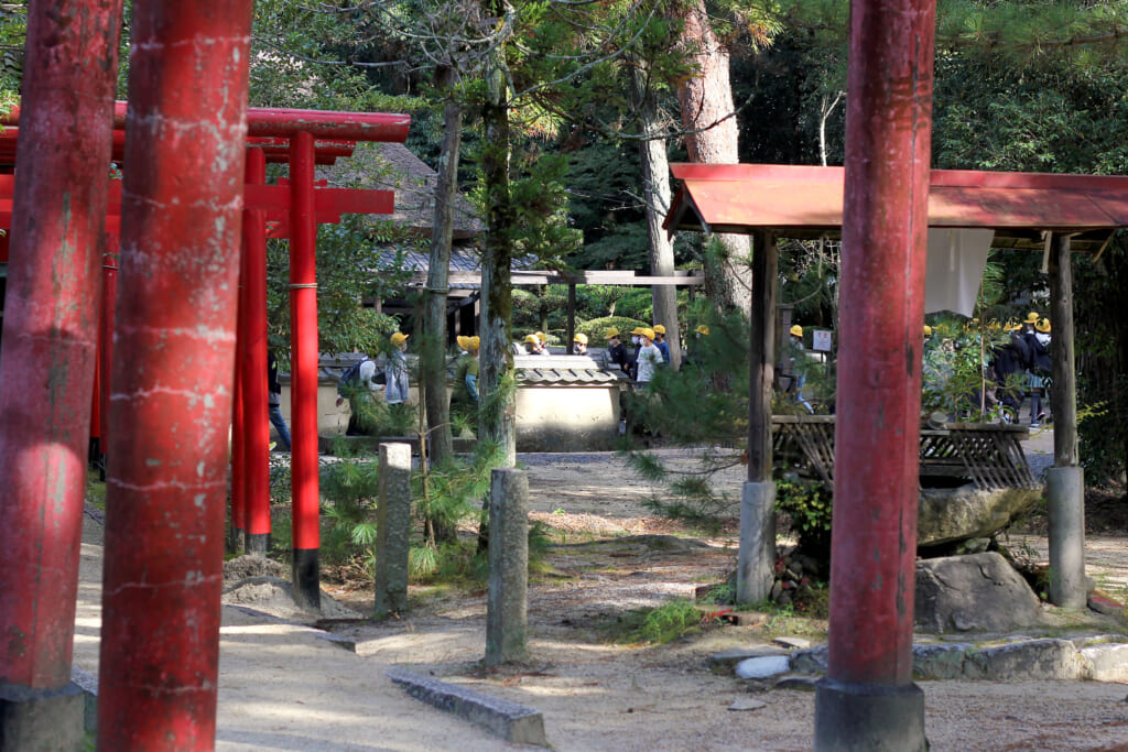 Des portes rouges d'un sanctuaires dans un parc, derrière lesquelles on voit des silhouette d'enfant qui portent des casquettes jaunes